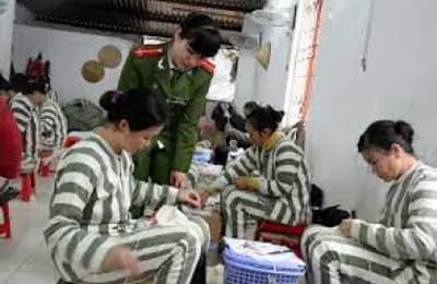 Phạm nhân lao động, học nghề ngoài trại giam được trả công theo quy định
