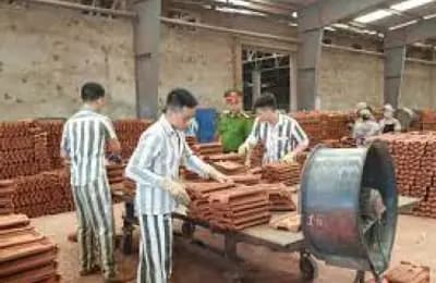 Thí điểm dạy nghề cho phạm nhân ngoài trại giam từ ngày 1/9/2022