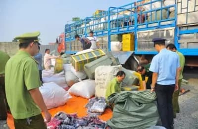 Thủ tướng chỉ đạo tiếp tục đẩy mạnh cao điểm đấu tranh ngăn chặn, đẩy lùi buôn lậu, gian lận thương mại