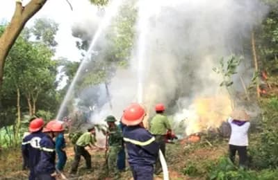 Tăng cường các biện pháp cấp bách phòng cháy, chữa cháy rừng